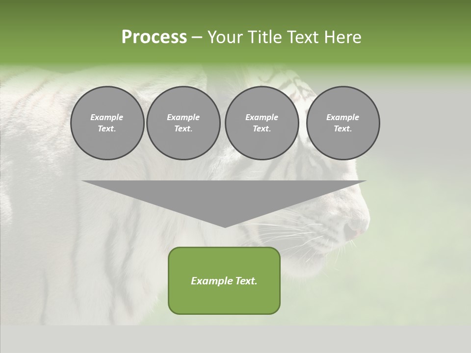 Big Nature Feline PowerPoint Template