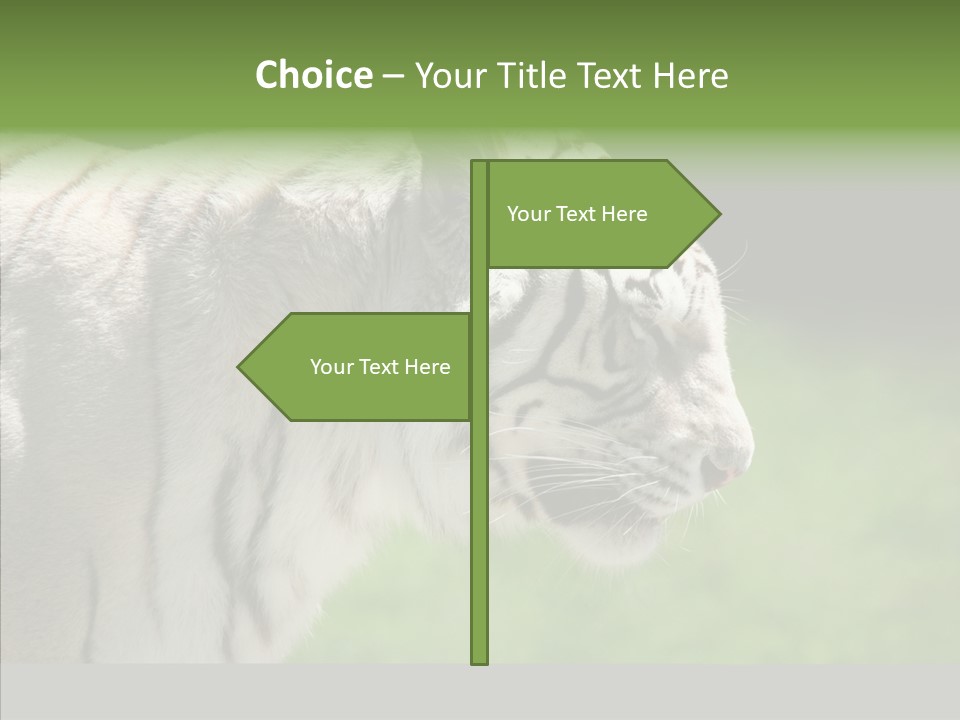 Big Nature Feline PowerPoint Template