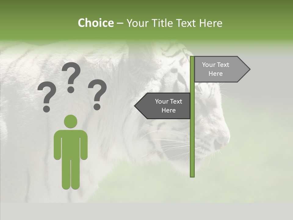 Big Nature Feline PowerPoint Template