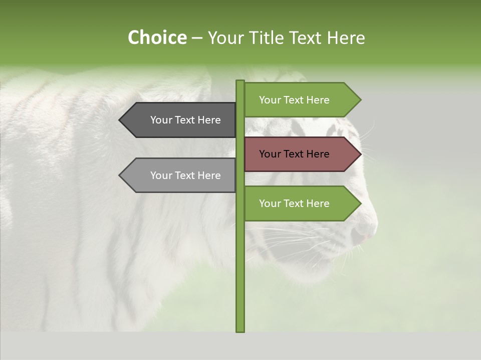 Big Nature Feline PowerPoint Template