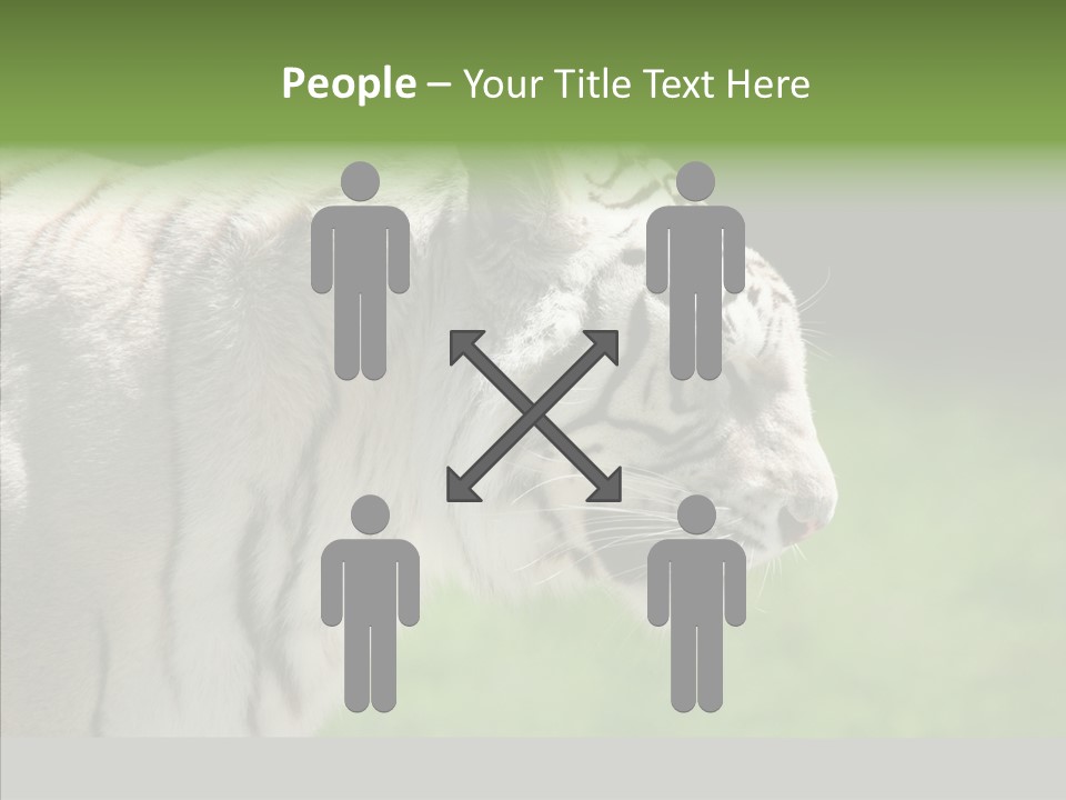 Big Nature Feline PowerPoint Template