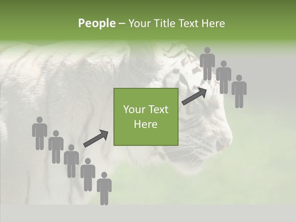 Big Nature Feline PowerPoint Template
