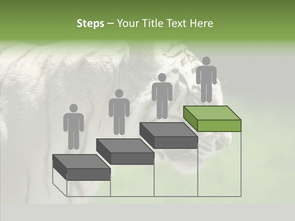 Big Nature Feline PowerPoint Template