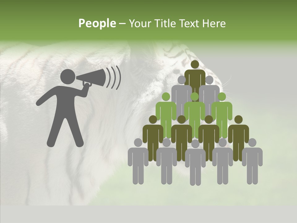 Big Nature Feline PowerPoint Template