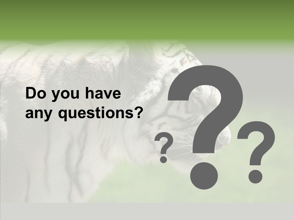 Big Nature Feline PowerPoint Template