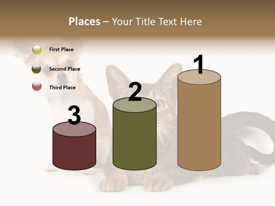 Kitten Love Playful PowerPoint Template