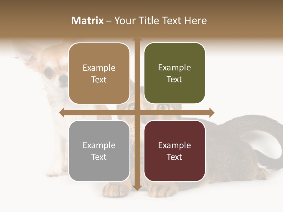 Kitten Love Playful PowerPoint Template