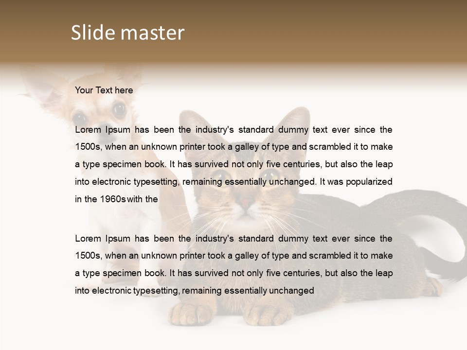 Kitten Love Playful PowerPoint Template