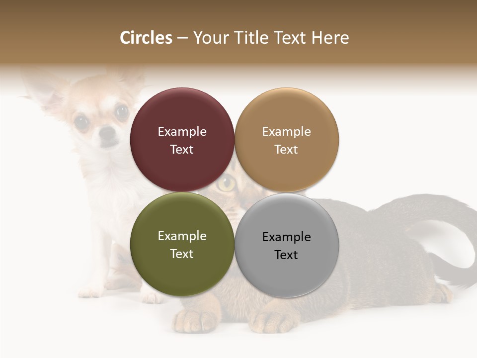 Kitten Love Playful PowerPoint Template