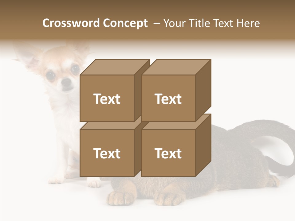 Kitten Love Playful PowerPoint Template