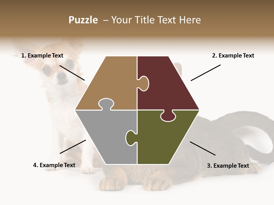 Kitten Love Playful PowerPoint Template