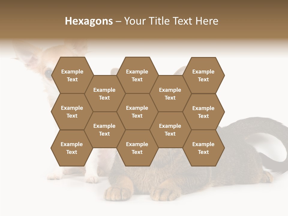 Kitten Love Playful PowerPoint Template