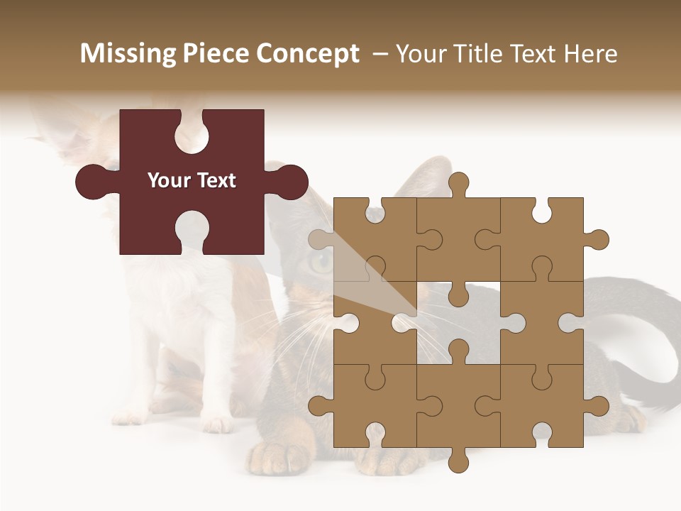 Kitten Love Playful PowerPoint Template