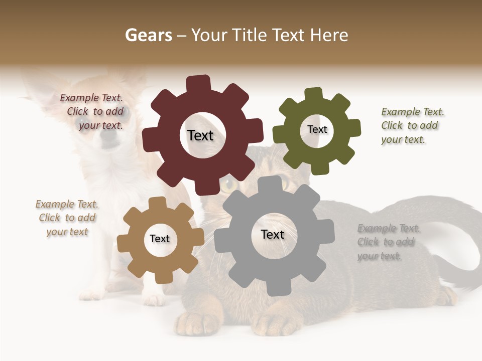 Kitten Love Playful PowerPoint Template