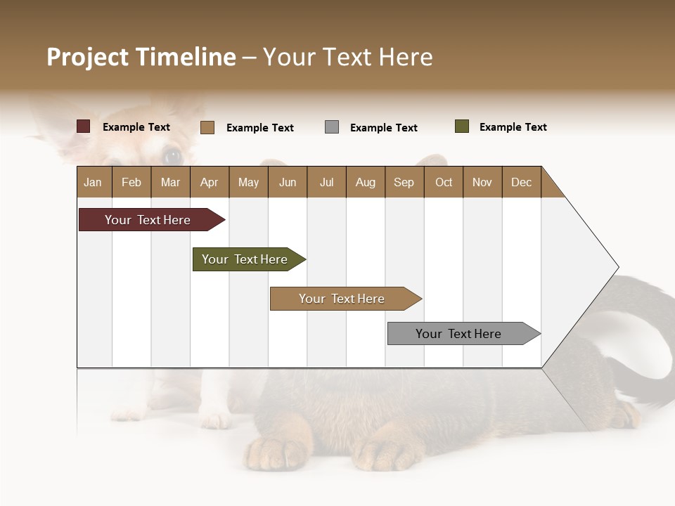 Kitten Love Playful PowerPoint Template