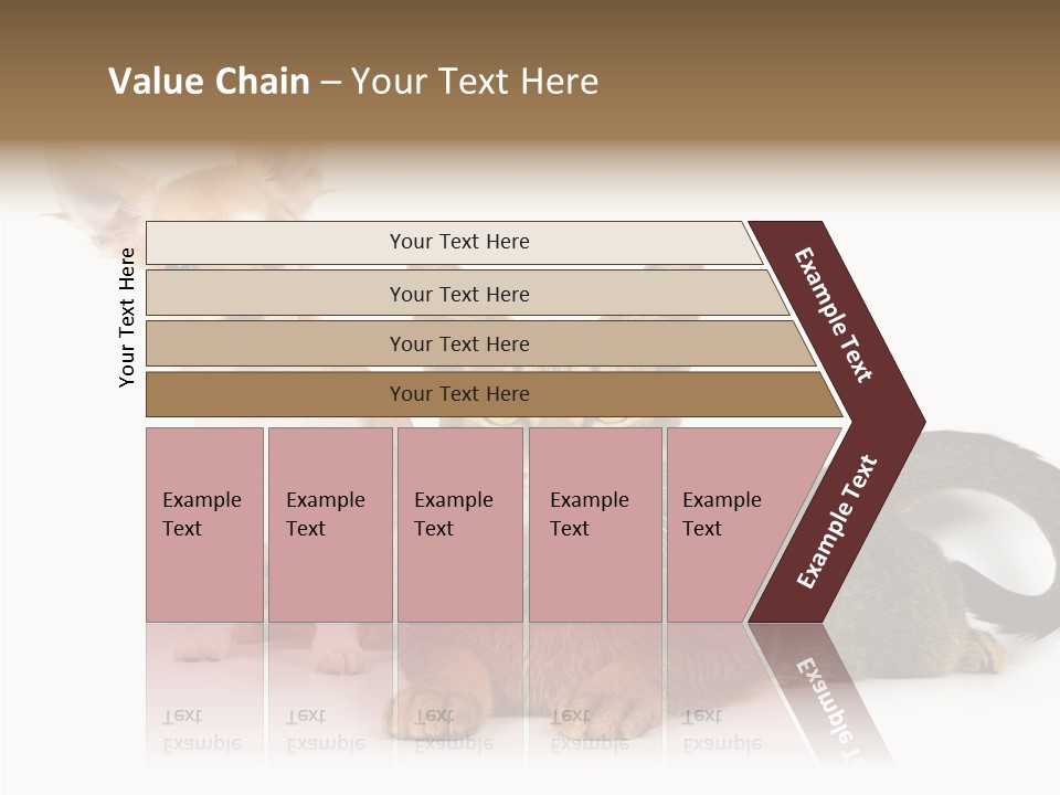 Kitten Love Playful PowerPoint Template