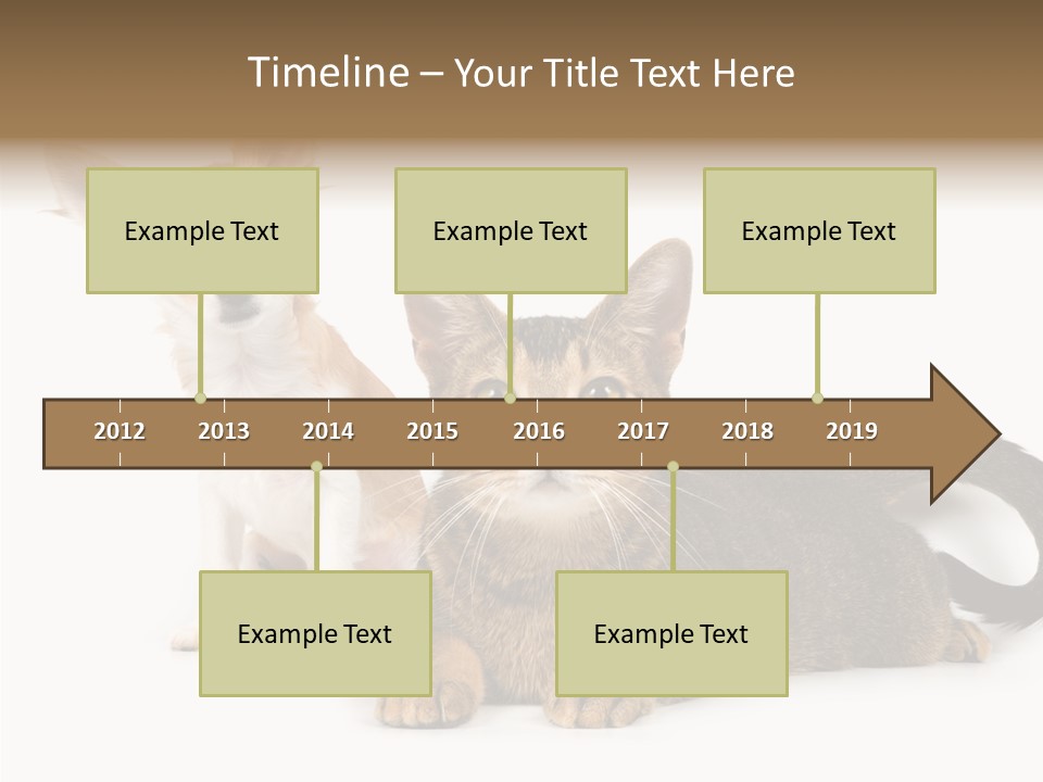 Kitten Love Playful PowerPoint Template