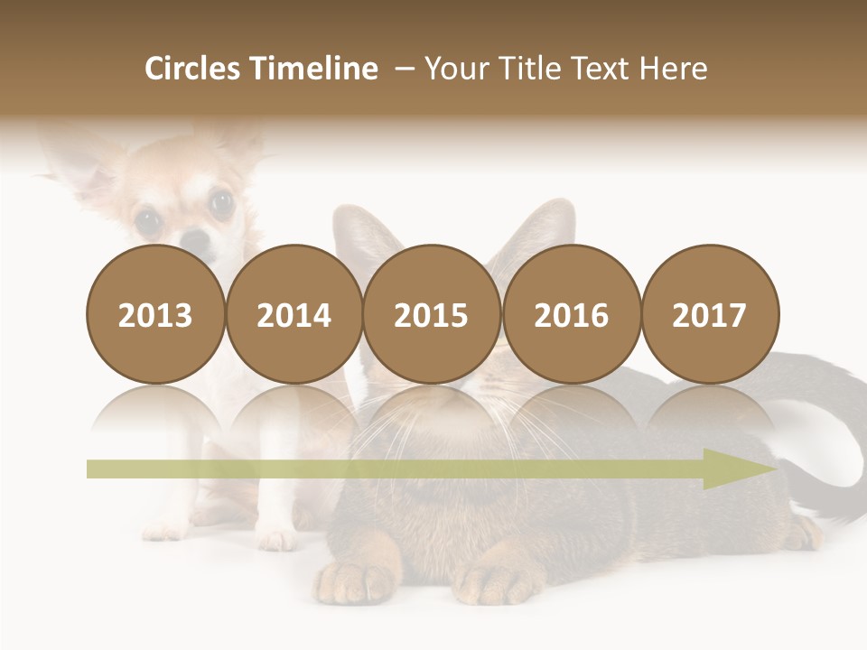 Kitten Love Playful PowerPoint Template