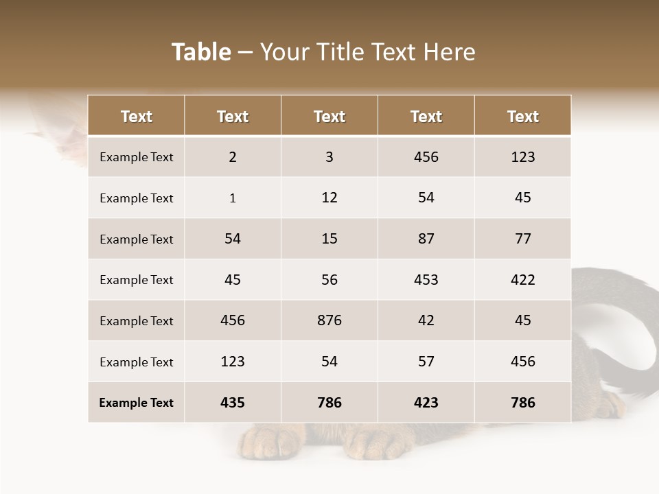 Kitten Love Playful PowerPoint Template
