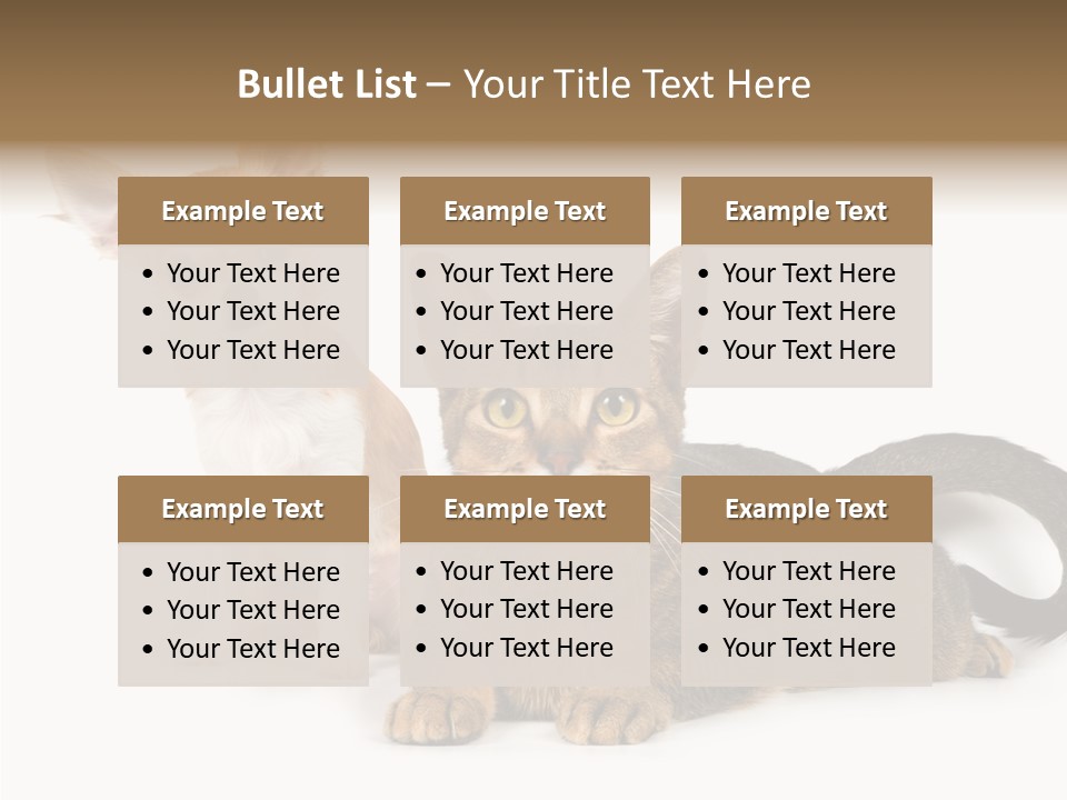 Kitten Love Playful PowerPoint Template