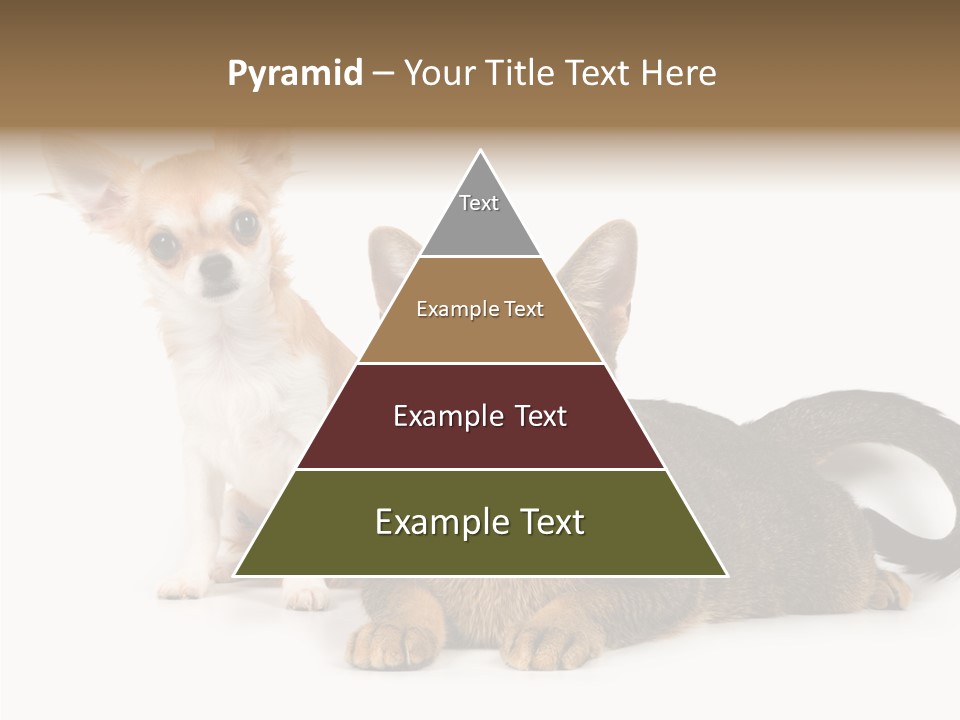 Kitten Love Playful PowerPoint Template