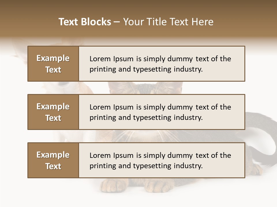 Kitten Love Playful PowerPoint Template