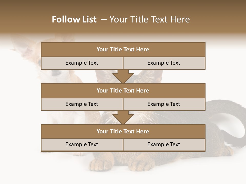 Kitten Love Playful PowerPoint Template