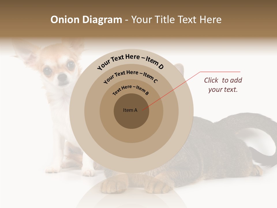 Kitten Love Playful PowerPoint Template