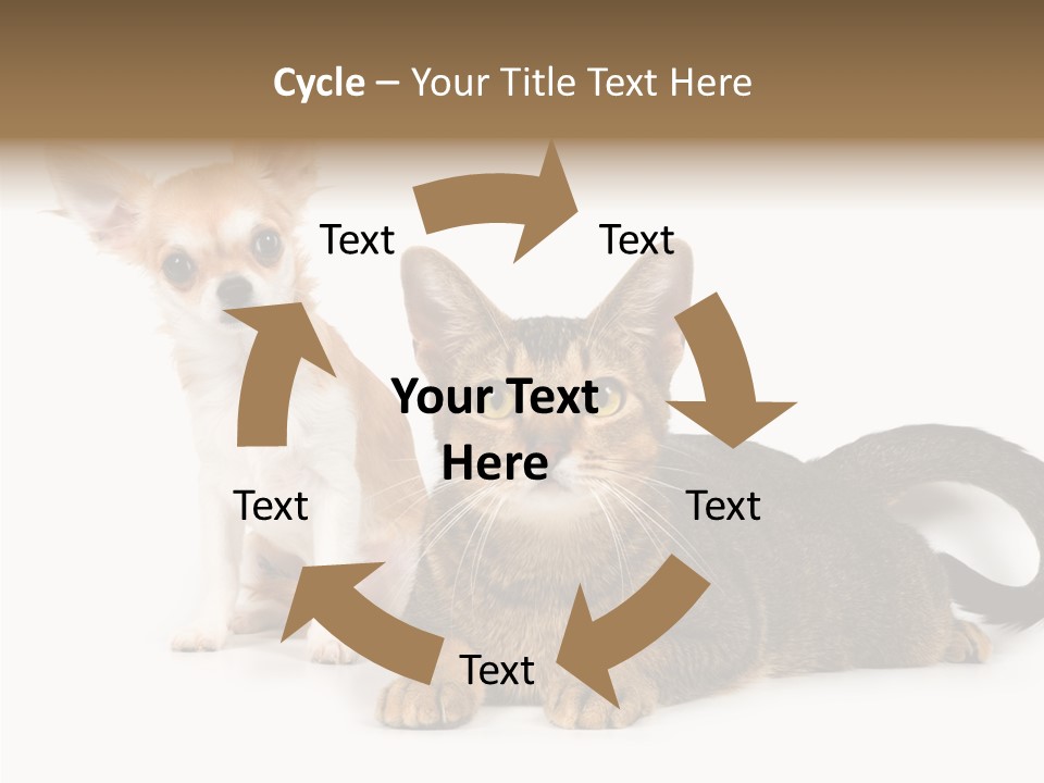 Kitten Love Playful PowerPoint Template