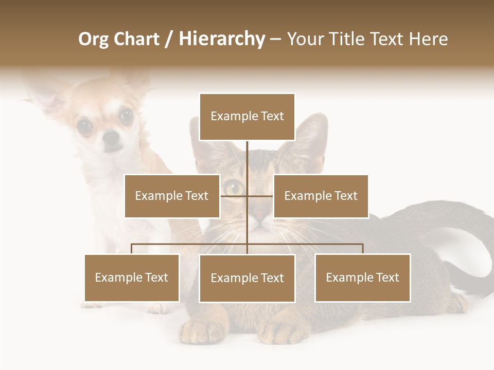 Kitten Love Playful PowerPoint Template