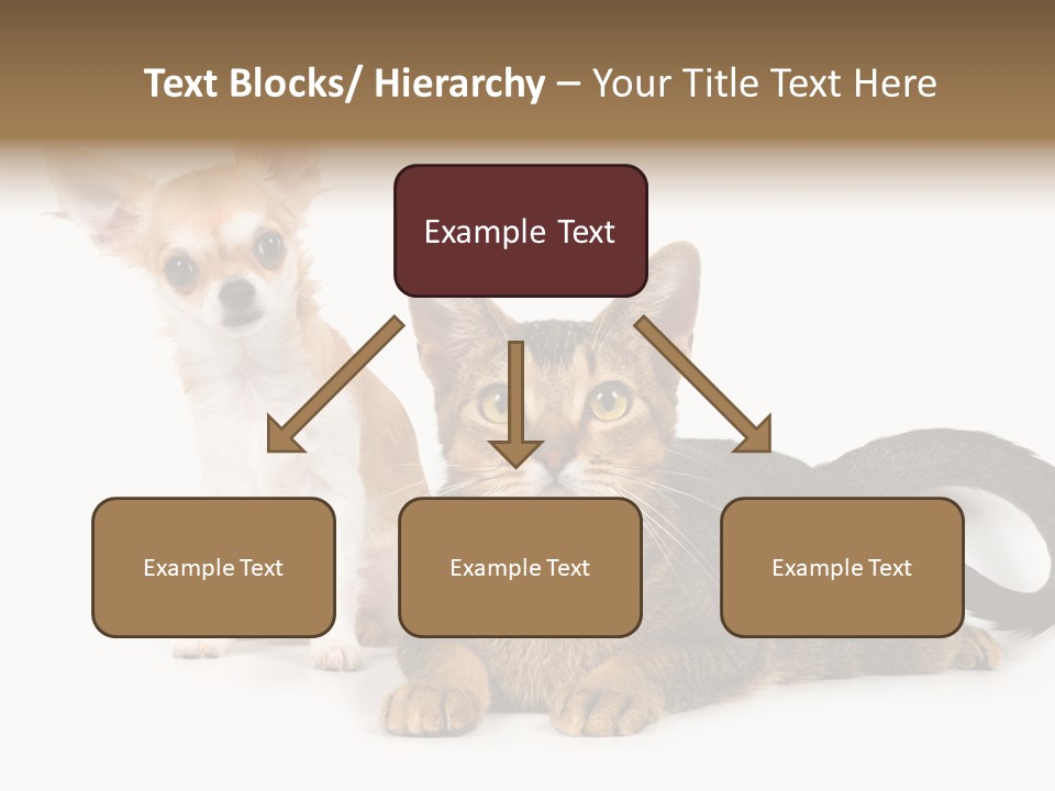 Kitten Love Playful PowerPoint Template