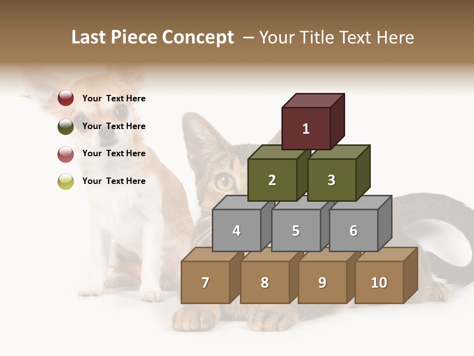 Kitten Love Playful PowerPoint Template