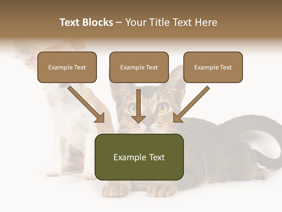 Kitten Love Playful PowerPoint Template