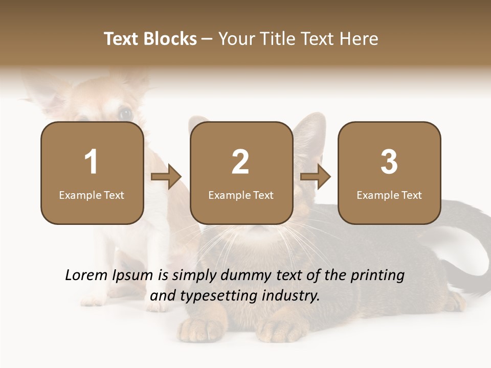 Kitten Love Playful PowerPoint Template