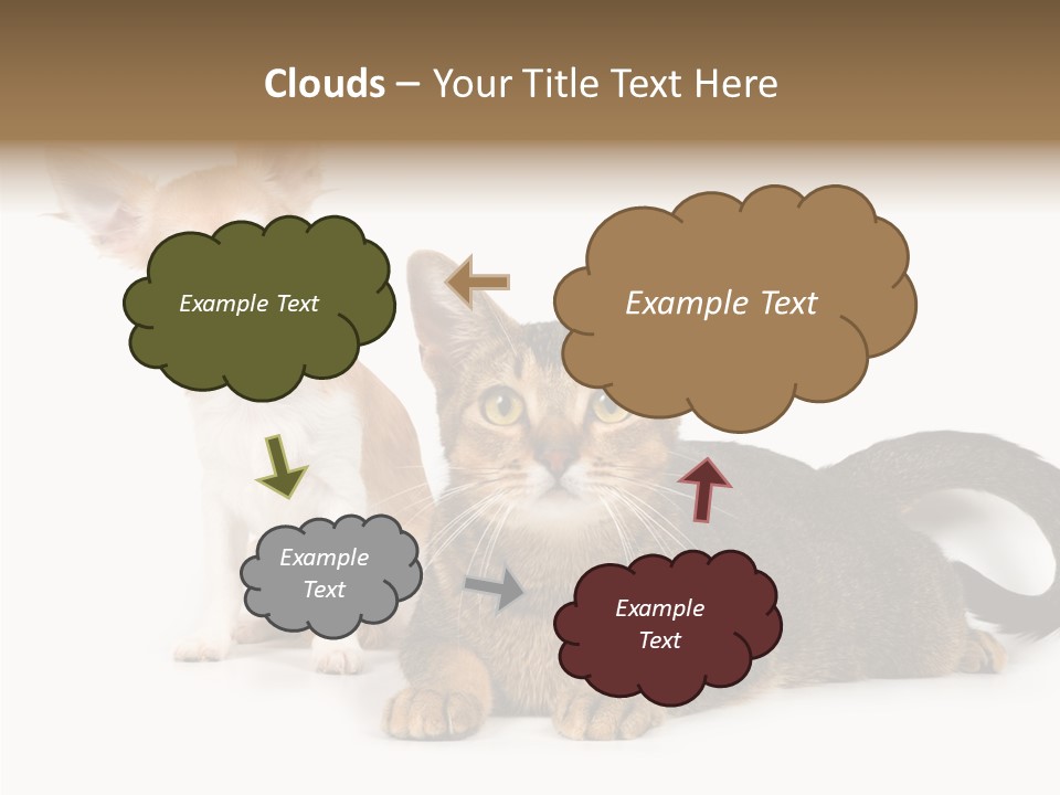 Kitten Love Playful PowerPoint Template