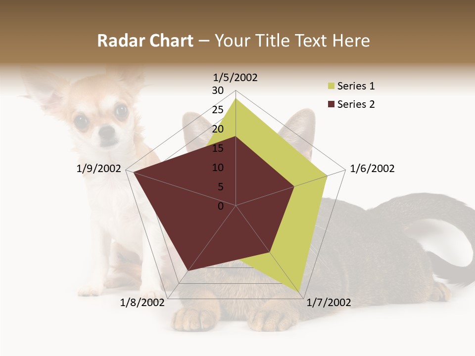 Kitten Love Playful PowerPoint Template