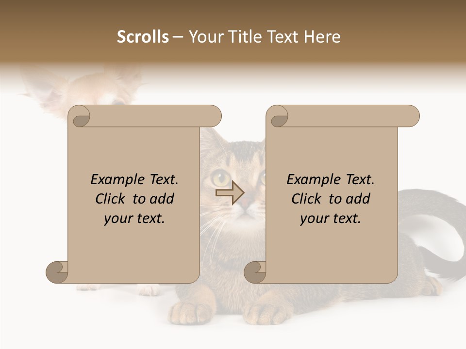Kitten Love Playful PowerPoint Template