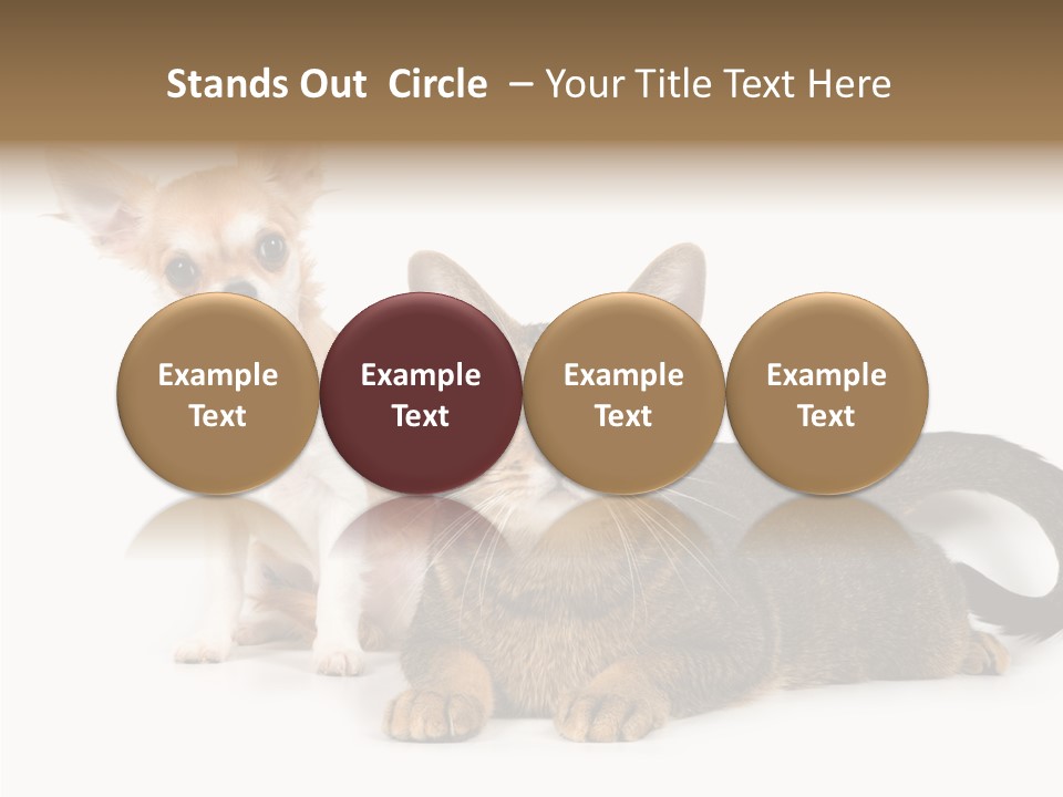 Kitten Love Playful PowerPoint Template