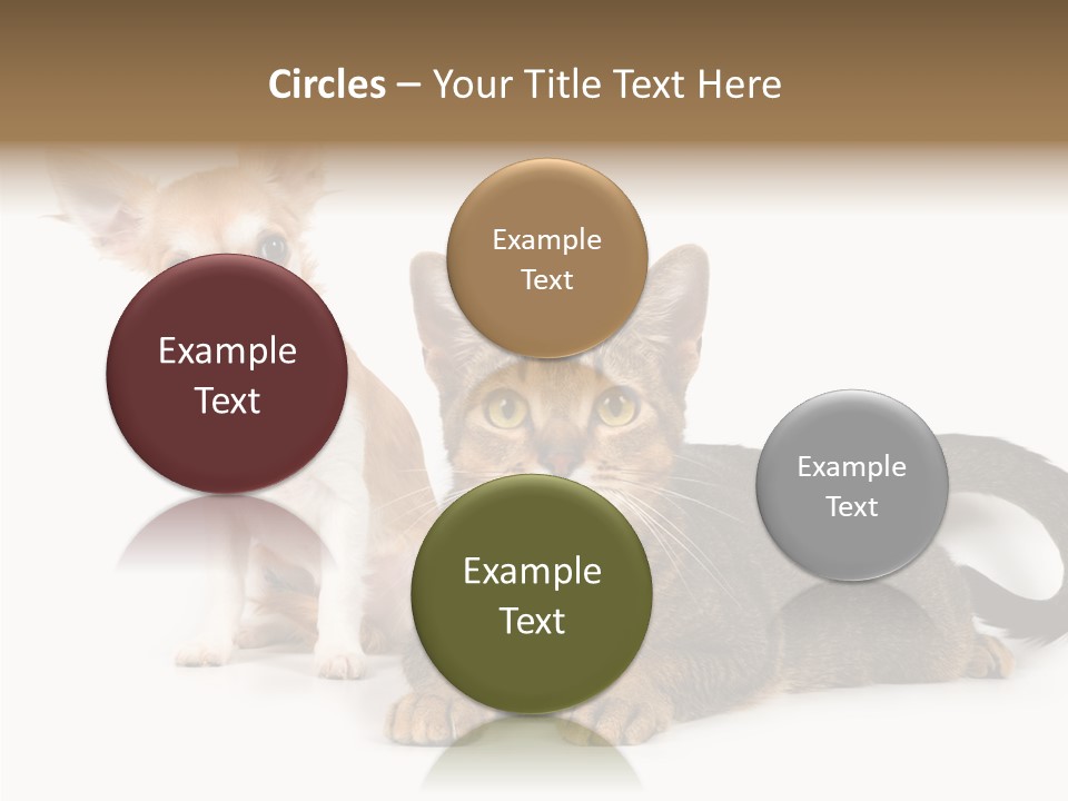 Kitten Love Playful PowerPoint Template