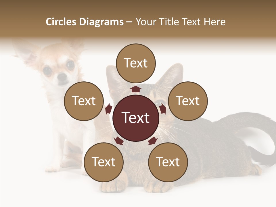 Kitten Love Playful PowerPoint Template