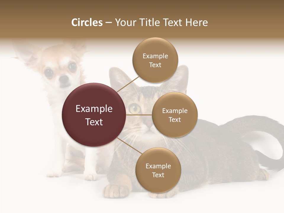 Kitten Love Playful PowerPoint Template