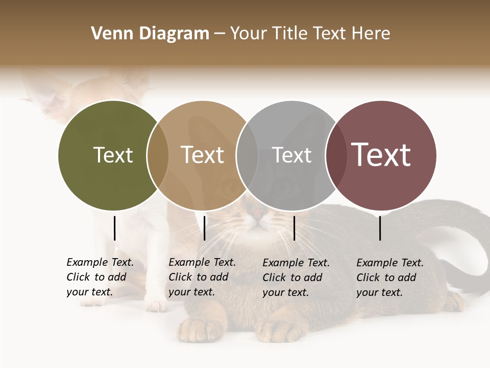 Kitten Love Playful PowerPoint Template