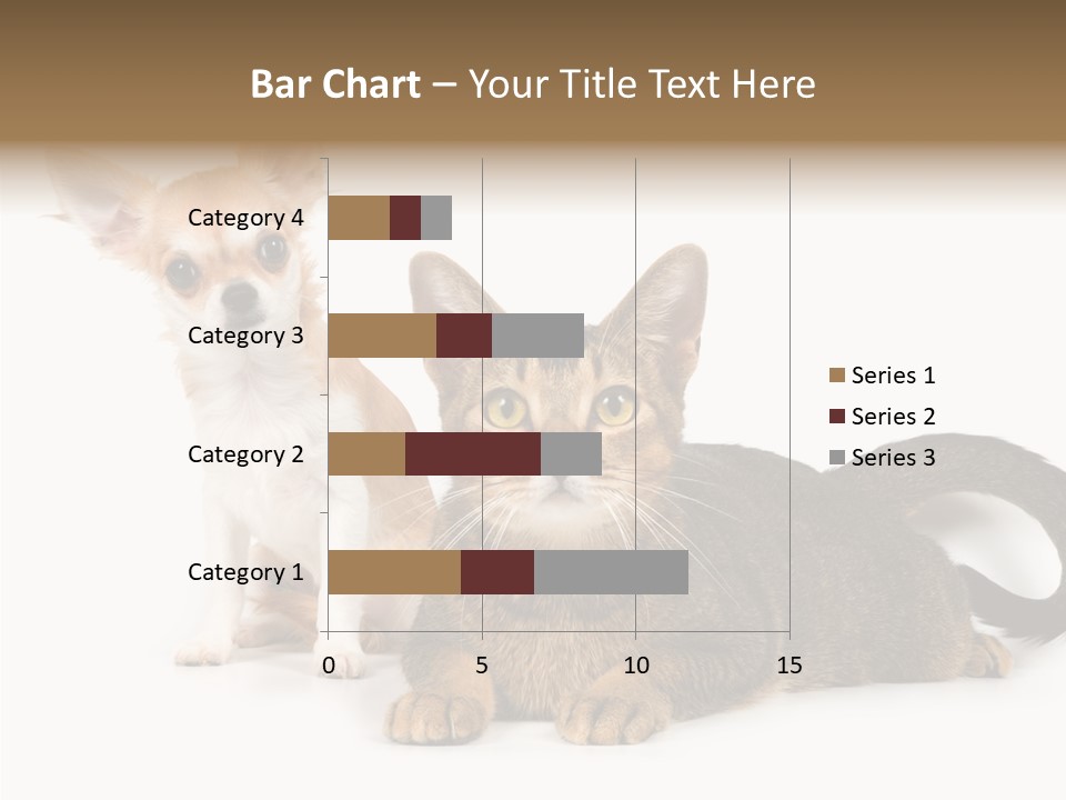 Kitten Love Playful PowerPoint Template