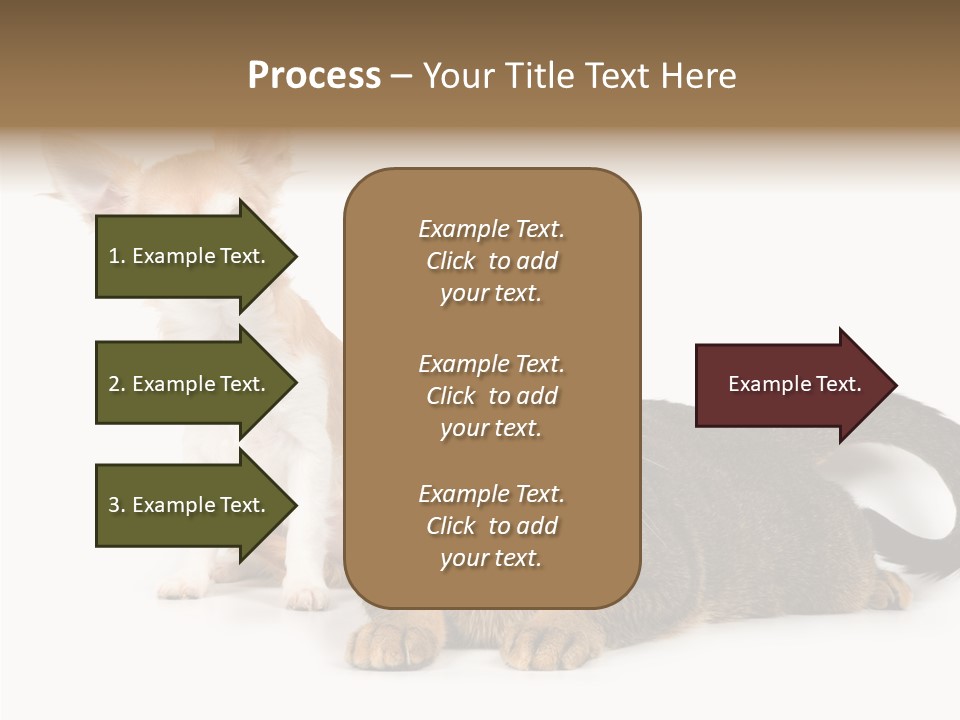 Kitten Love Playful PowerPoint Template