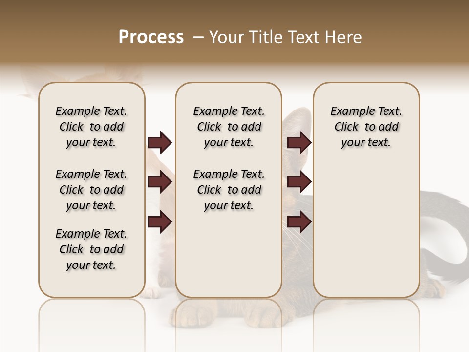 Kitten Love Playful PowerPoint Template