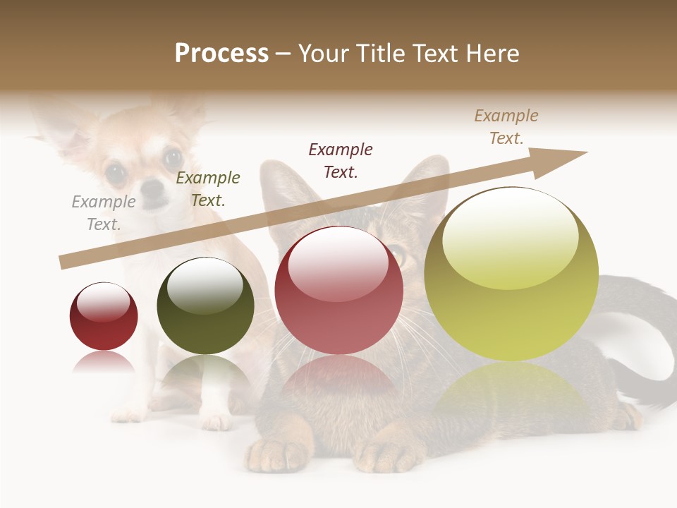 Kitten Love Playful PowerPoint Template