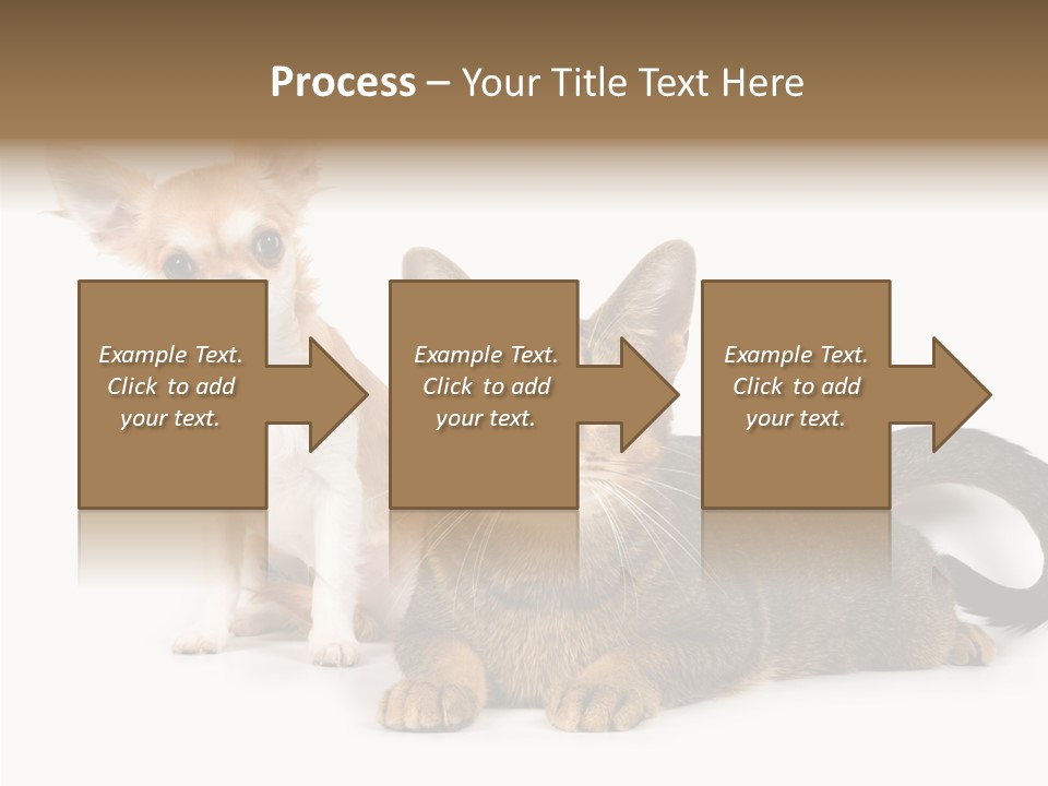 Kitten Love Playful PowerPoint Template