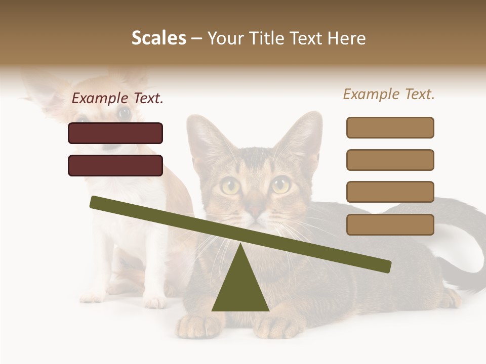 Kitten Love Playful PowerPoint Template