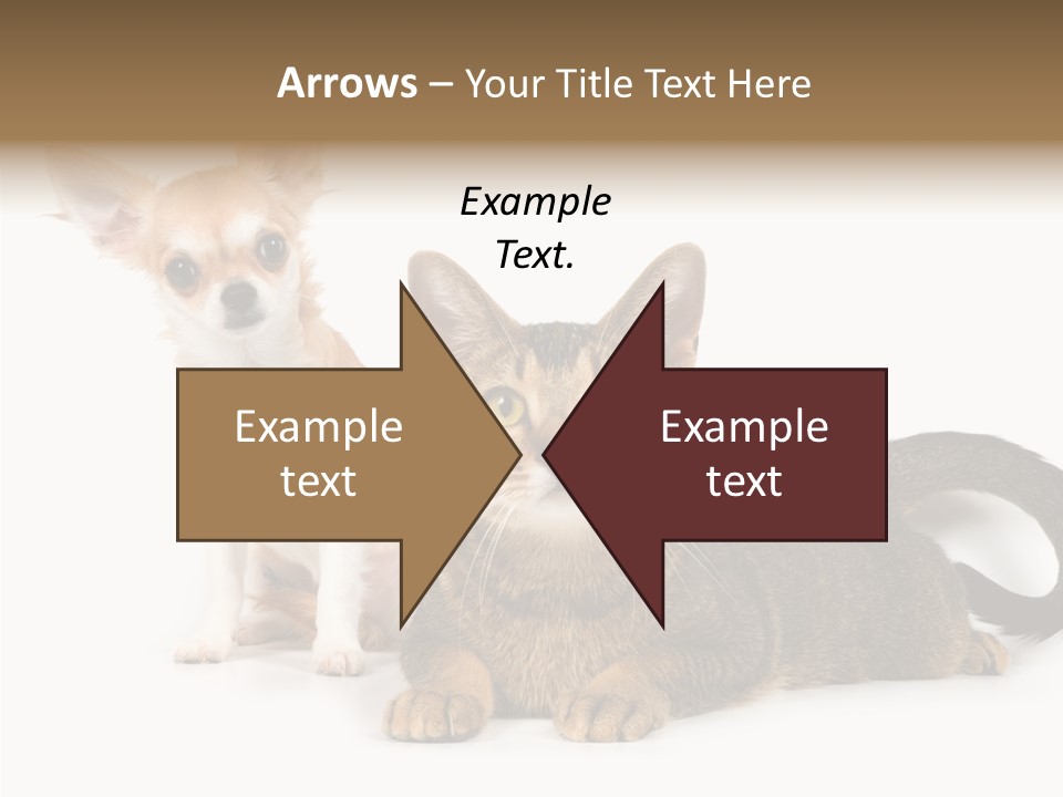 Kitten Love Playful PowerPoint Template