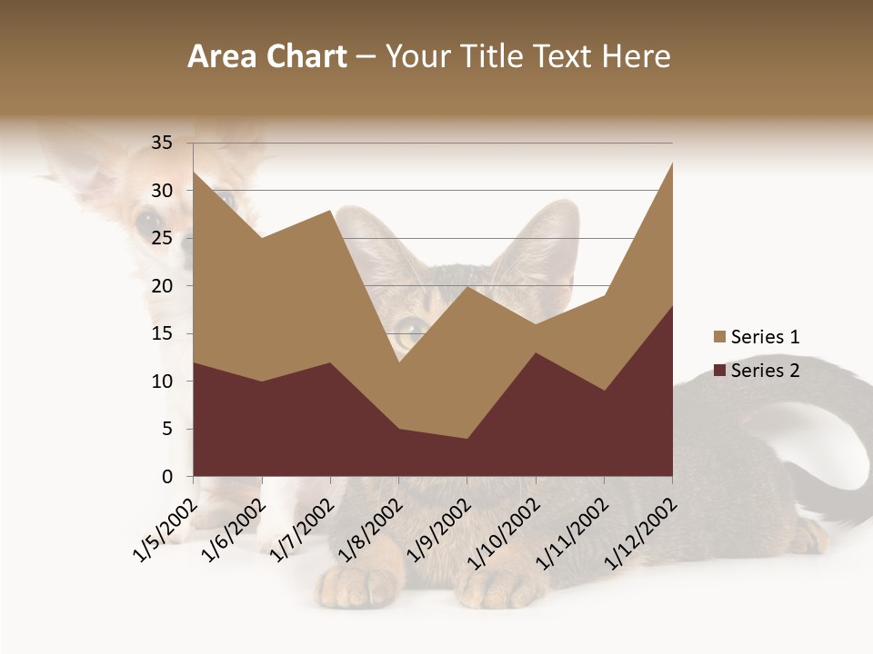 Kitten Love Playful PowerPoint Template